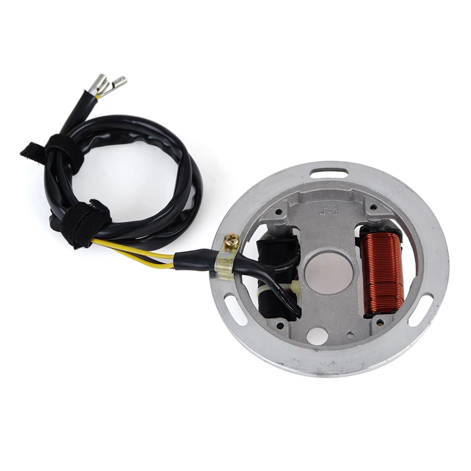Amazon.com: KoehLy Stator Coil Compatible with Suzuki LT80