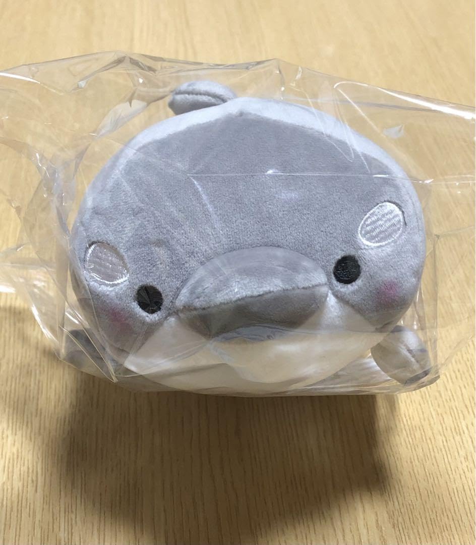 Amazon.co.jp: もちふわ ころころすいぞくかん みいるか シャチ しゃち