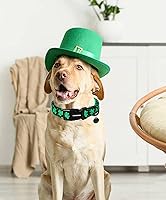 Vista 239 de DOGWONG Collar de perro de San Valentín, collar de perro con estampado de corazones para perros grandes, lindos collares de primavera, hembra