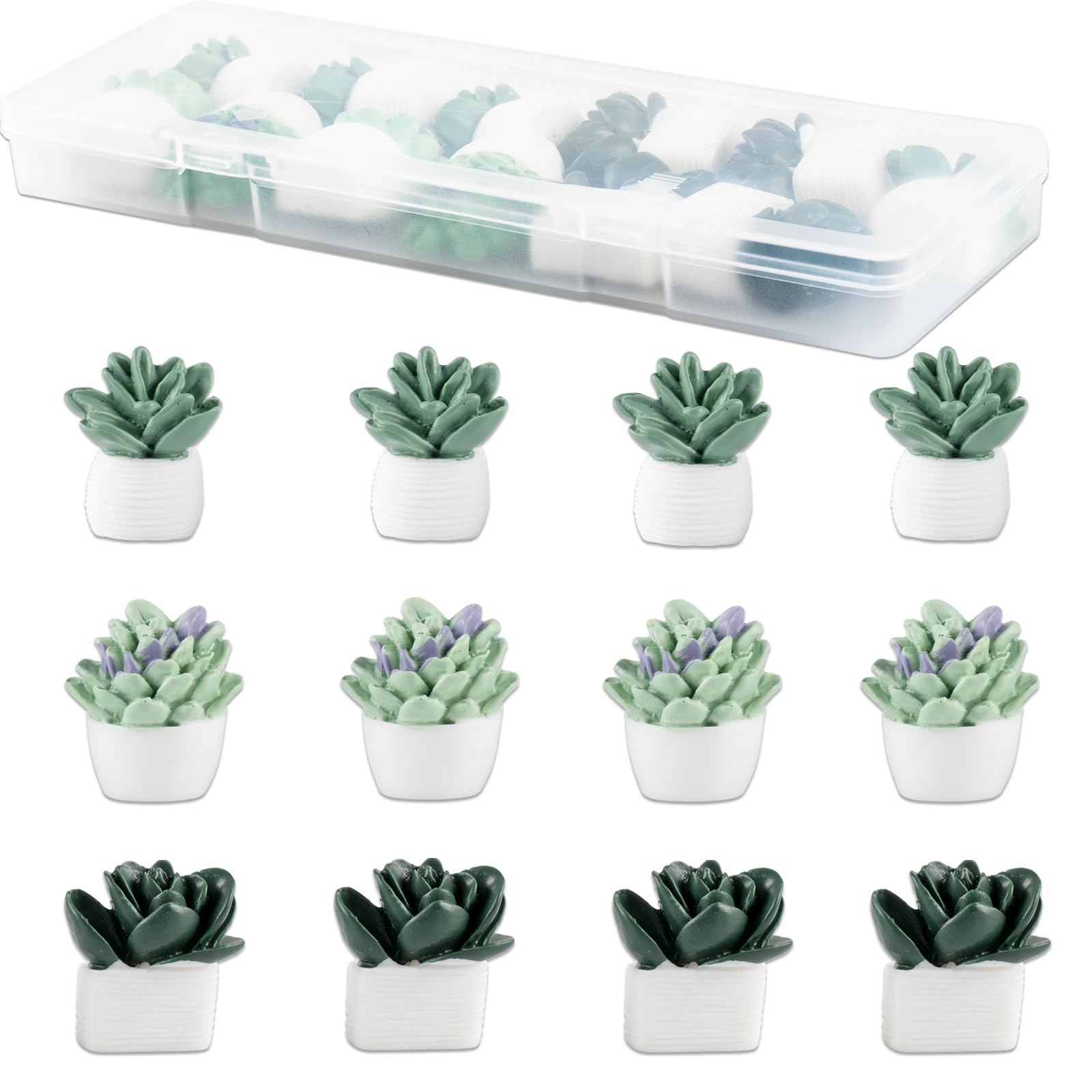 12 Pcs Succulent Magnets for Locker, Fridge Magnets Cute, Office Desk Accessories Magnets for Whiteboard, Assorted Styles Refrigerator Magnets Decorative Locker Magnets