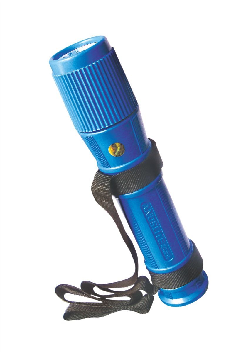 ANDSLITE Plastic LED Torch Light, Black Red : Amazon.in: Sports