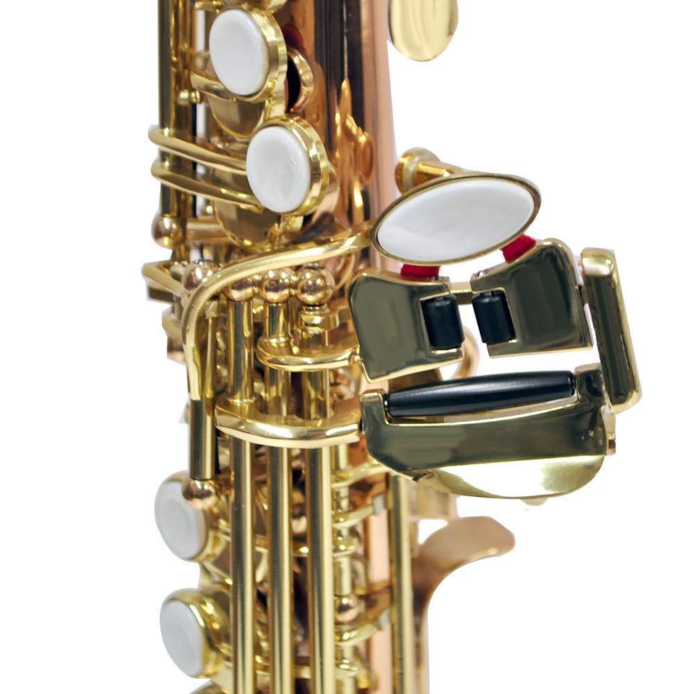 Amazon | PLAYTECH (プレイテック) ソプラニーノサックス PTNS300