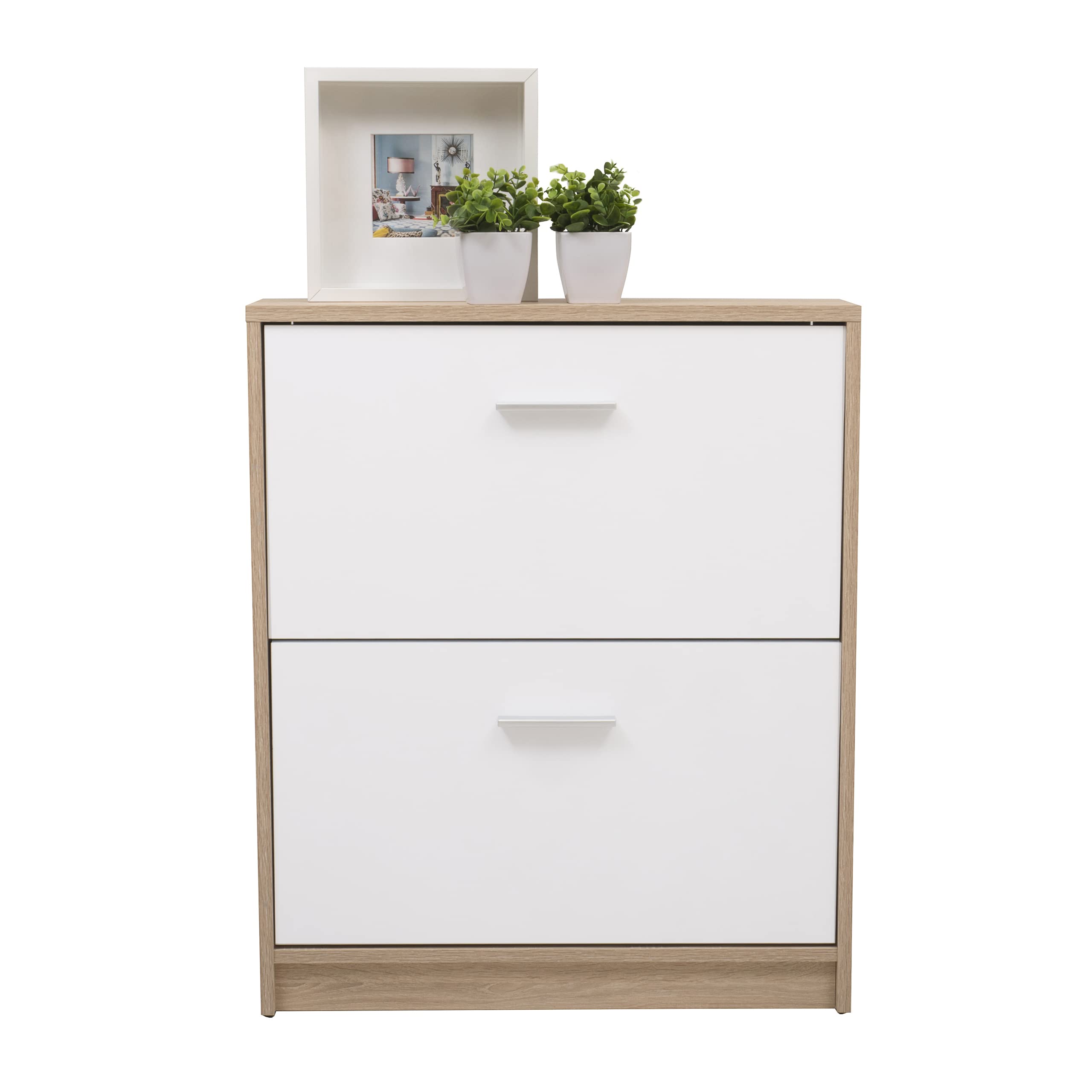 Homely - Mueble Zapatero KENTO | Diseño Moderno, Diseño Nórdico | Zapatero para Habitación, Hall, Dormitorio, Entrada | 2 Puertas abatibles | 69,5x17,5x84 cm | Color cambrián y Blanco