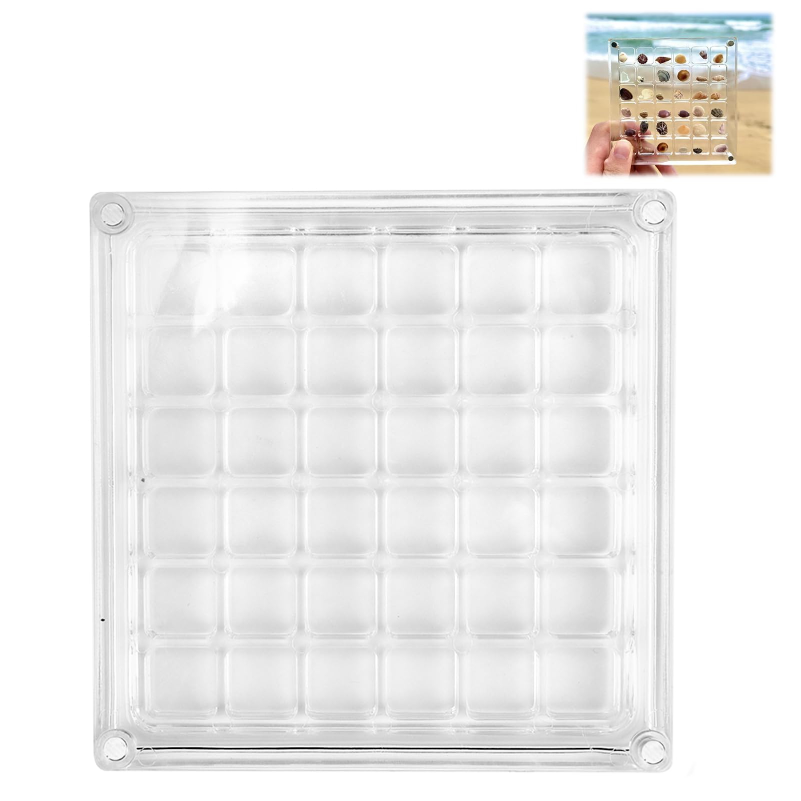 Acrylic Magnetic Seashell Display Box 36 Grids Sea Shell Gem Rock Collection Box Multifunctional Transparent Container Shell Storage Box for Shells Jewelry Starfish Gemstone Trinket Nail Bead