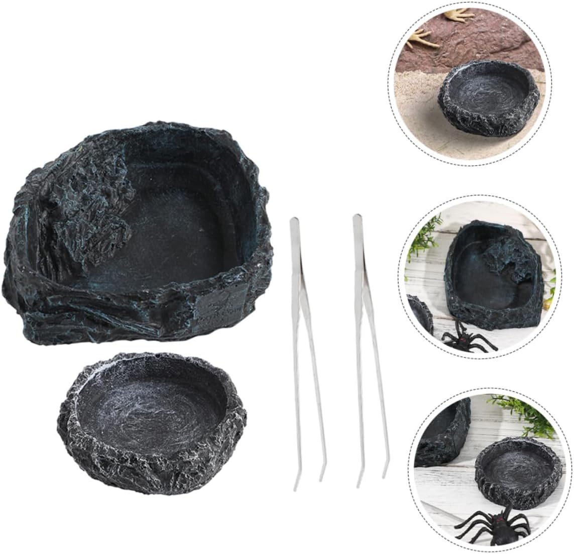 Mikinona 1set Reptile Feeding Bowl with Curved Tweezers Versatile Dish for Bearded Dragons Lizards Tortoises and Snakes Includes and Large Water Bowls for Balanced Diets