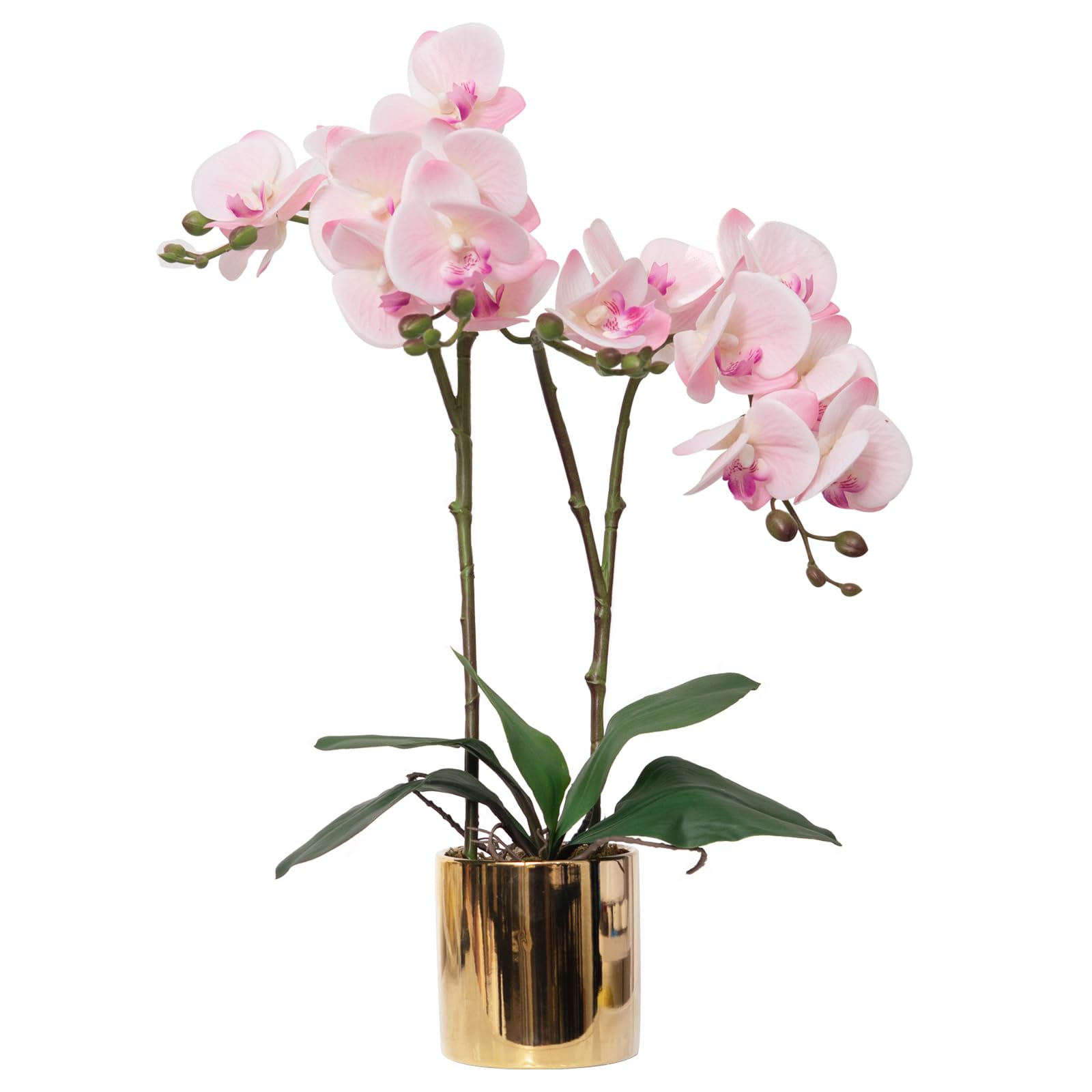 CXGS Artificial Orchid Flower Plant Real Touch Faux Orchids in Ceramic Vase Pink