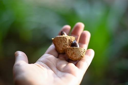Miniatura 5 de Barùkas: Las nueces más saludables del mundo.