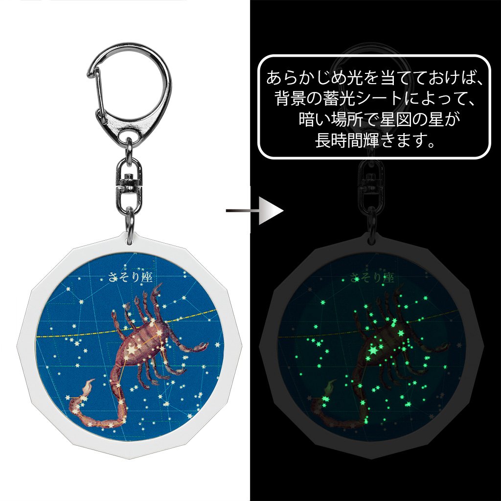 Amazon.co.jp: 星の手帖社 星座早見付 星座キーホルダー さそり座 
