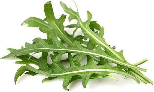 Miniatura 2 de Repuesto Smart Garden, 3 paquetes