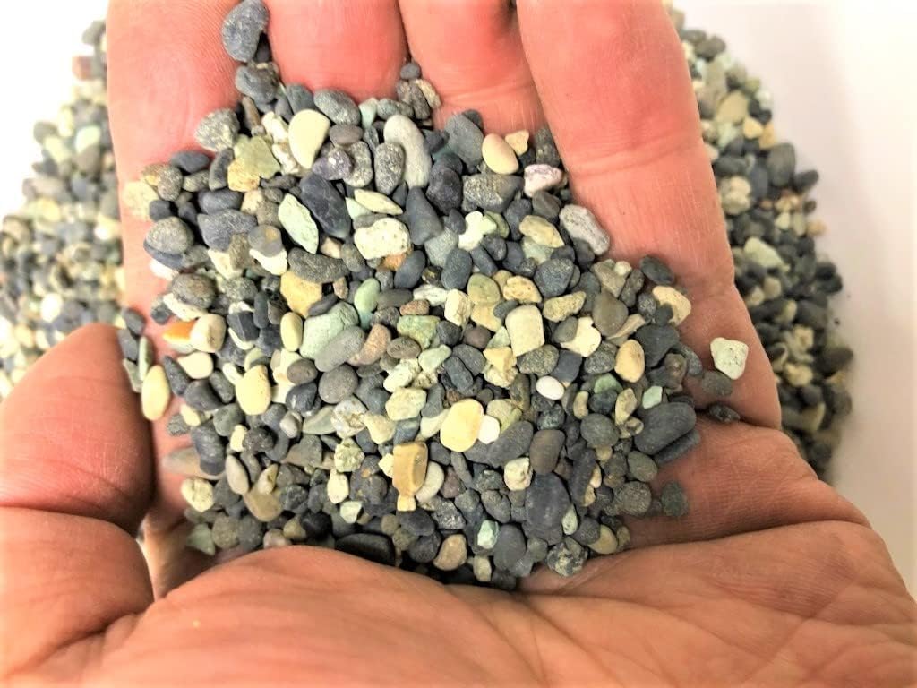 Amazon | 新大磯砂 1分 5kg 水槽用底砂利 | ノーブランド品 | 底床 通販