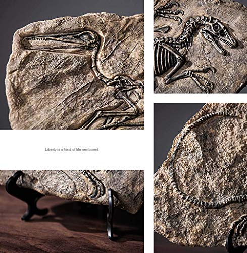 DZX Hauptdekoration Dinosaurier Fossil Statue, Harz Dinosaurier Fossil Modell Büro Wohnzimmer Weinschrank Dekoration… – Bild 3