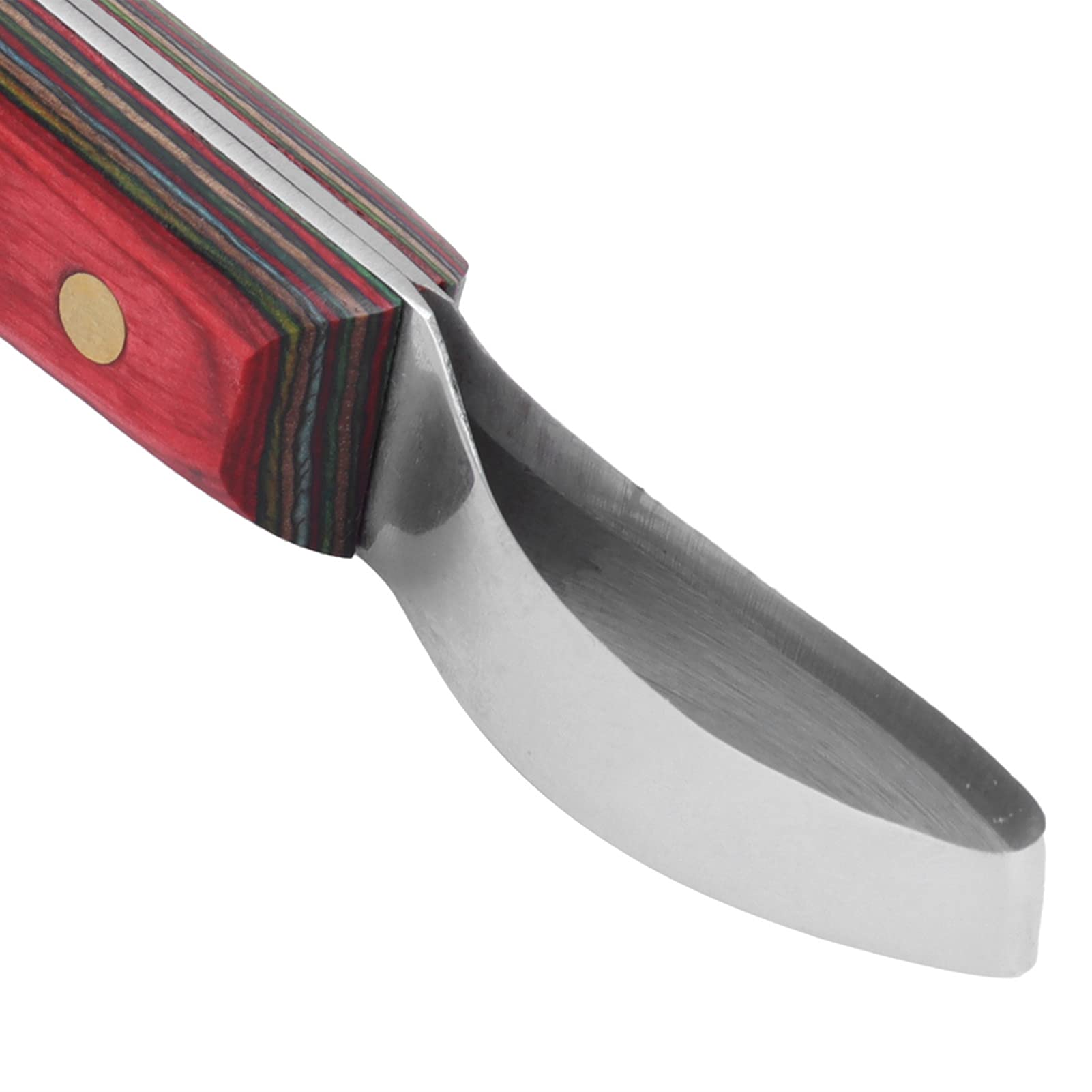 Cuchillo de Pezuñas Curvado para Herradores, Hoja de Acero Afiliada con Ergonómico de , Herramienta de Recorte Eficiente para Caballos, Ideal para Herrar Caballos Final Selling Points:
