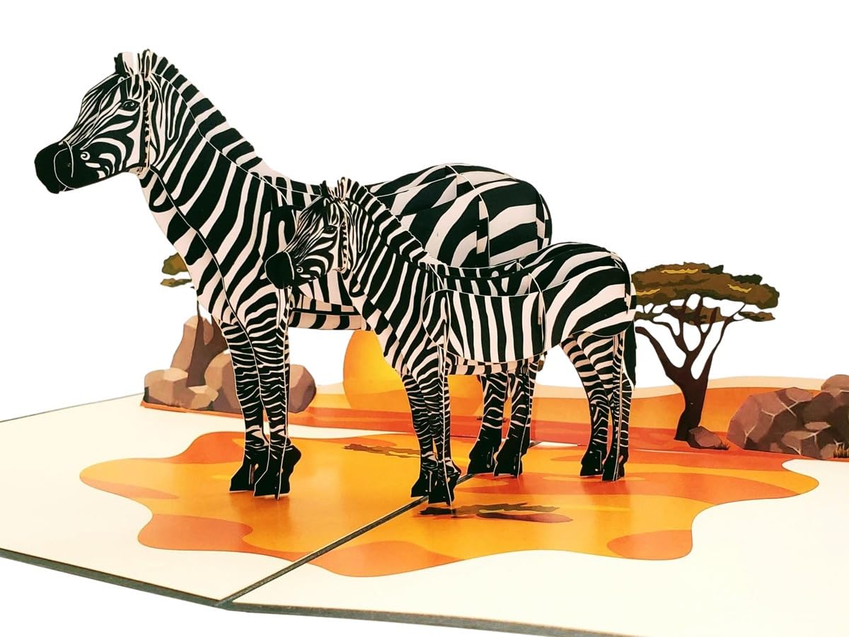 iGifts And Cards 3D Zebras Pop-Up Card – African Safari Animal Greeting Card, Wildlife Gift for Birthday, Friends, Nature Lovers, Safari Fans – Unique