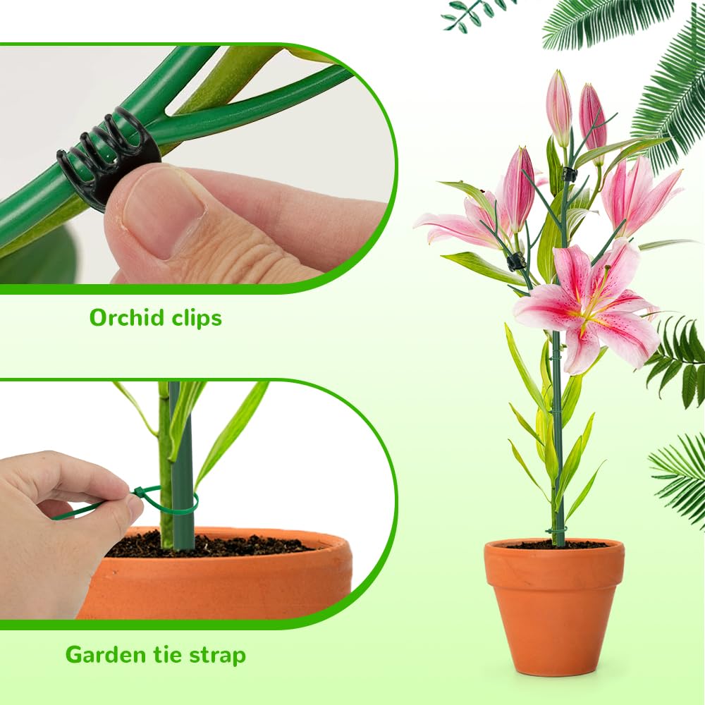 ROADPLUM Lot De 5 Tuteurs Amovibles De 70 Cm, Se Mélangent à La Plante, Bâtons De Plantes Avec Pinces à Orchidée, Attaches Torsadées, Treillis Pour Plantes D'intérieur Et D'extérieur