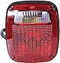 Evan-Fischer Tail Light Assembly Compatible with 1998-2006 Jeep Wrangler (TJ) Passenger Side