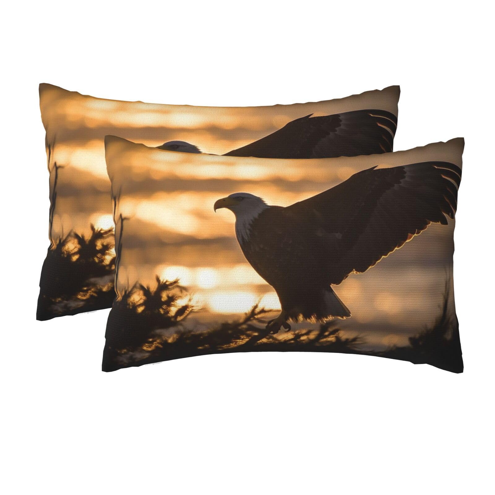 2 Pack Queen Pillow Cases with Hidden Zipper, Soft Breathable Pillow Covers for Hair and Skin, Backlit Eagle Pillowcases 20"x30" Bed Pillow Protectors Cover for Sleeping Gifts