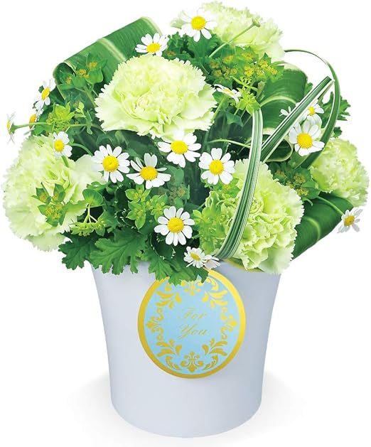 Amazon 誕生日フラワーギフト グリーンカーネーションのアレンジメント Ya00 花キューピット 花 誕生日 お祝い 記念日 プレゼント 花束 オンライン通販 Amazon 誕生日フラワーギフト グリーンカーネーションのアレンジメント Ya00 花キューピット 花 誕生日 お祝い 記念日 プレゼント 花束 オンライン通販