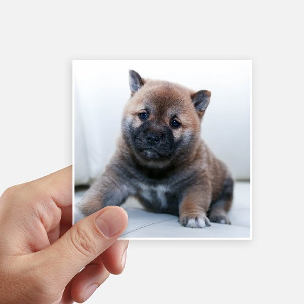 Autocollant animal pippy pour personnaliser votre ordinateur et valise de voyage