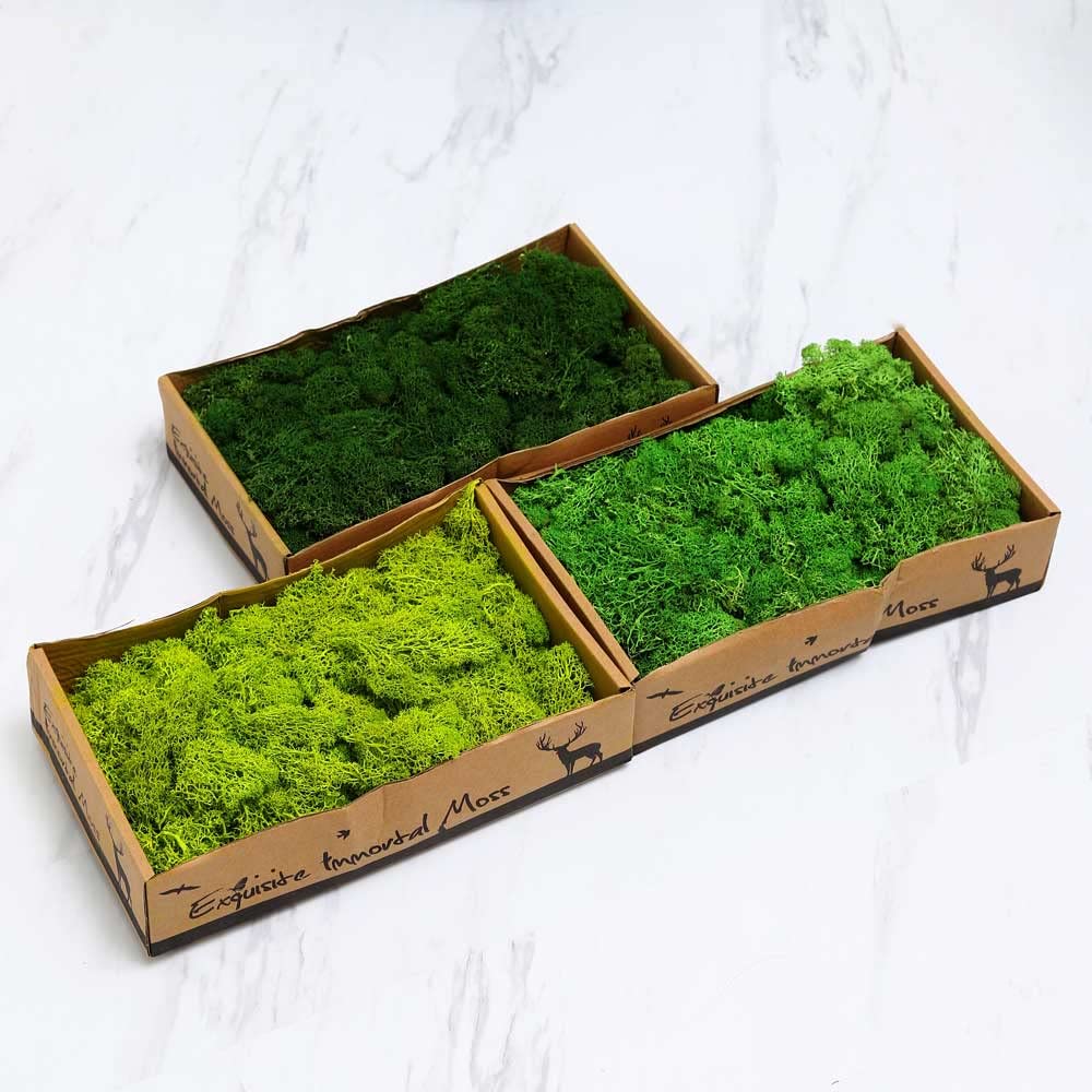 YATAI Natural Preserved Moss Grass For Orchids Flowers Artificial Plants Landscaping Decor Moss Grass For Hanging Basket Background Wall Decoration Items Festival Ornaments (Dark Green)