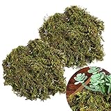 🌿Sehr Gut Geeignet Für Diy Modellbäume, Blumentöpfe, Glasflaschen, Sträucher, Hecken Oder Andere Muster.