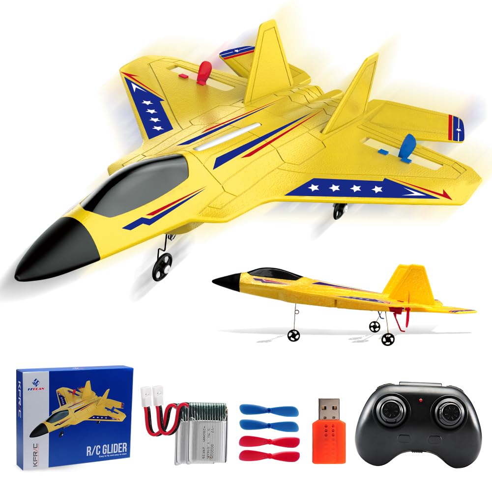 Fremego F22 2.4GHz RC Jet, Gyro Airplane with 2 Batteries for Beginners