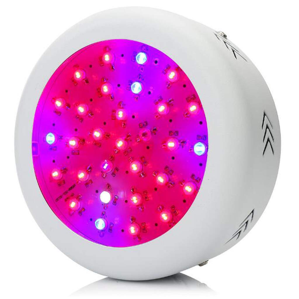 TEmkin Lampe de Croissance de Plantes, Lampe de Croissance de Plantes, Lampe de Croissance LED à Spectre Complet de 70 W pour Plantes d'intérieur hydroponiques légumes et Fleurs