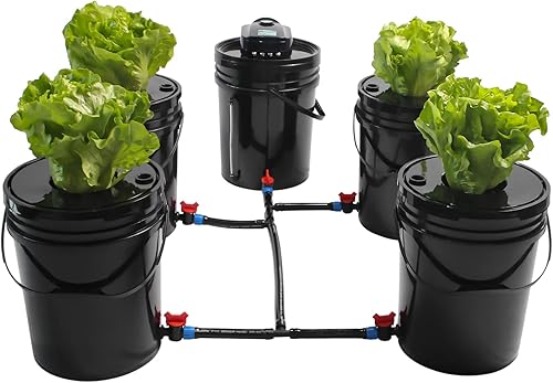 Sistema hidropónico DWC, kit de sistema de cultivo hidropónico DWC de 5 galones y 5 cubos, kit de cultivo hidropónico que incluye bomba de aire de disponible en Yaxa Peru