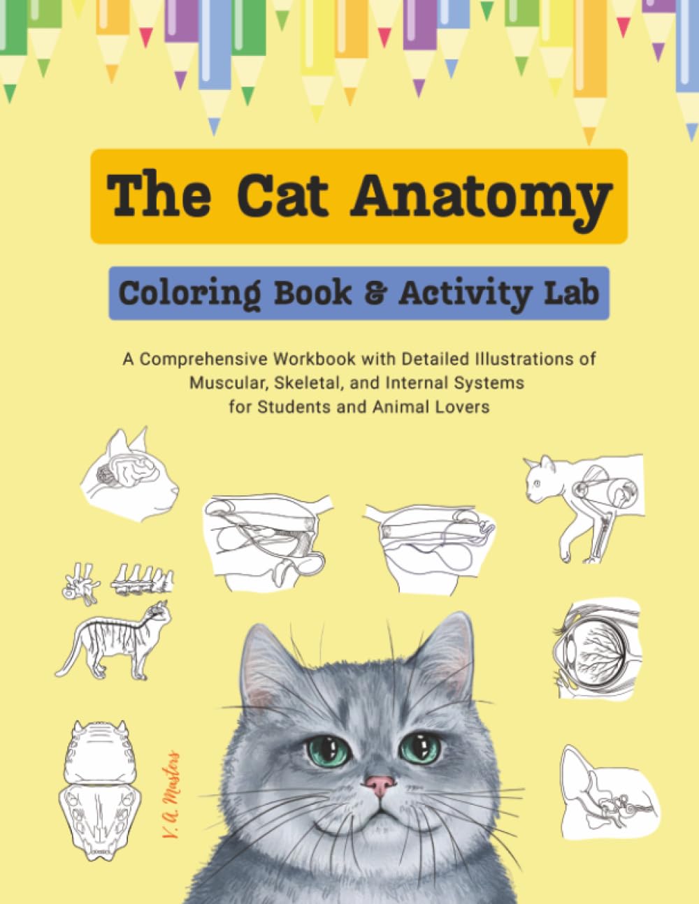 The Cat Anatomy Coloring Book & Activity Lab: A Comprehensive Workbook with Detailed Illustrations of Muscular, Skeletal, and Internal Systems for Students and Animal Lovers (Anatomy to the Max)