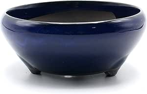 MUZHI - Juego De 2 Macetas Redondas De Cerámica Para Bonsái Con Bandejas, Color Café Y Rojo, Pequeñas Macetas Clásico Sin Esmaltar Con Platillos Minimalista, Clásico Y Clásico Con Drenaje