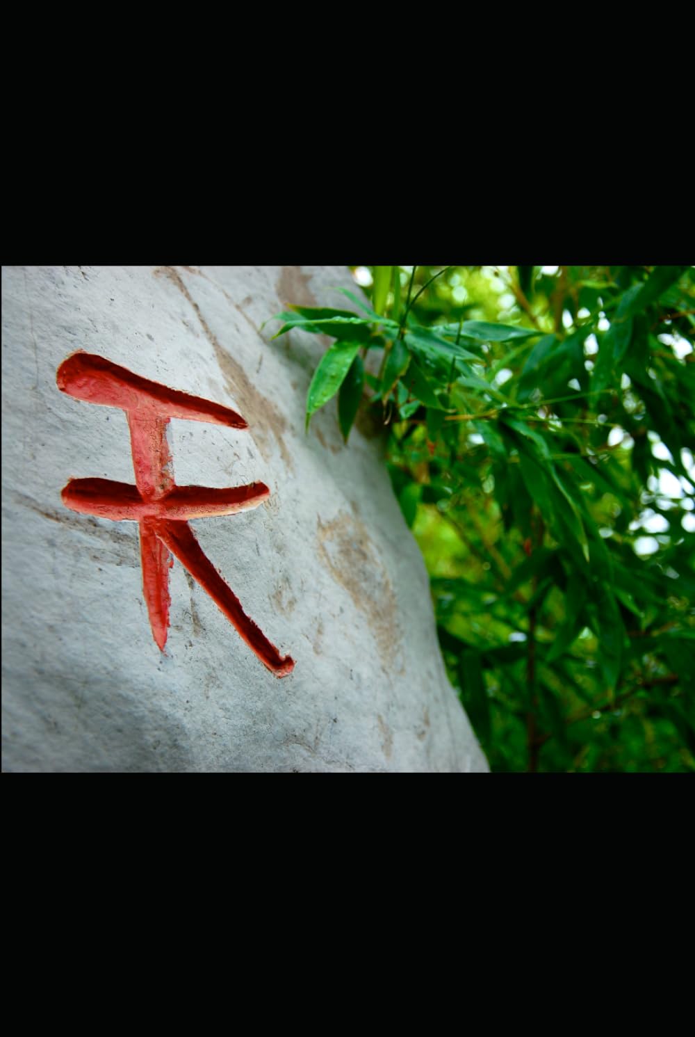 The Strategic Sinologist: Your Definitive HSK Success Guide (LINGUA PRIME: The Modern Language Accelerator)