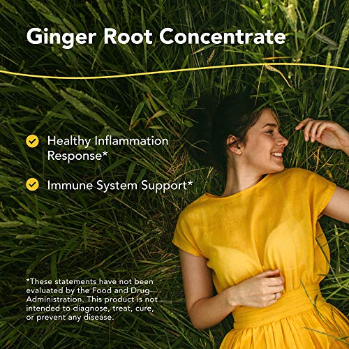 North American Herb & Spice Inflam-Eez - 90 Capsules - Supports Healthy Immune & Inflammatory Response - Ginger Root, Camu Camu Berries, Bromelain & Papain Plus - Non-Gmo - 45 Total Servings #TOP1