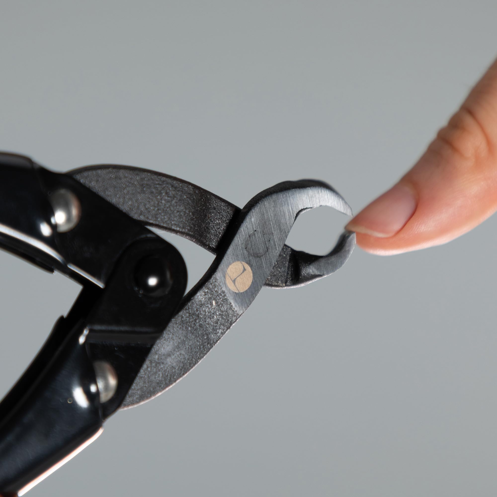 Asayu Japan Präzisions-Nagelknipser | Ergonomischer Hebelmechanismus für müheloses Schneiden – geschmiedet von japanischen Schmieden | Für dicke und eingewachsene Nägel | Für Senioren | Made in Japan