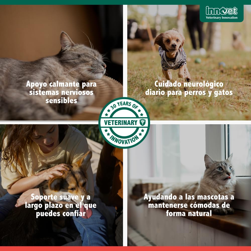 Innovet Alevica Suplemento para el Sistema Nervioso para Perros y Gatos 20 Comprimidos Masticables – con PEA-q y Quercetina – Apoya el Equilibrio Neurológico