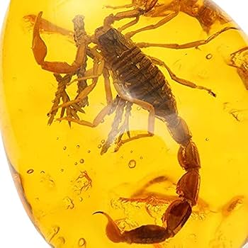 Amazon.co.jp: 内包物琥珀バルト海ペンダントネックレス4*5.5 cm