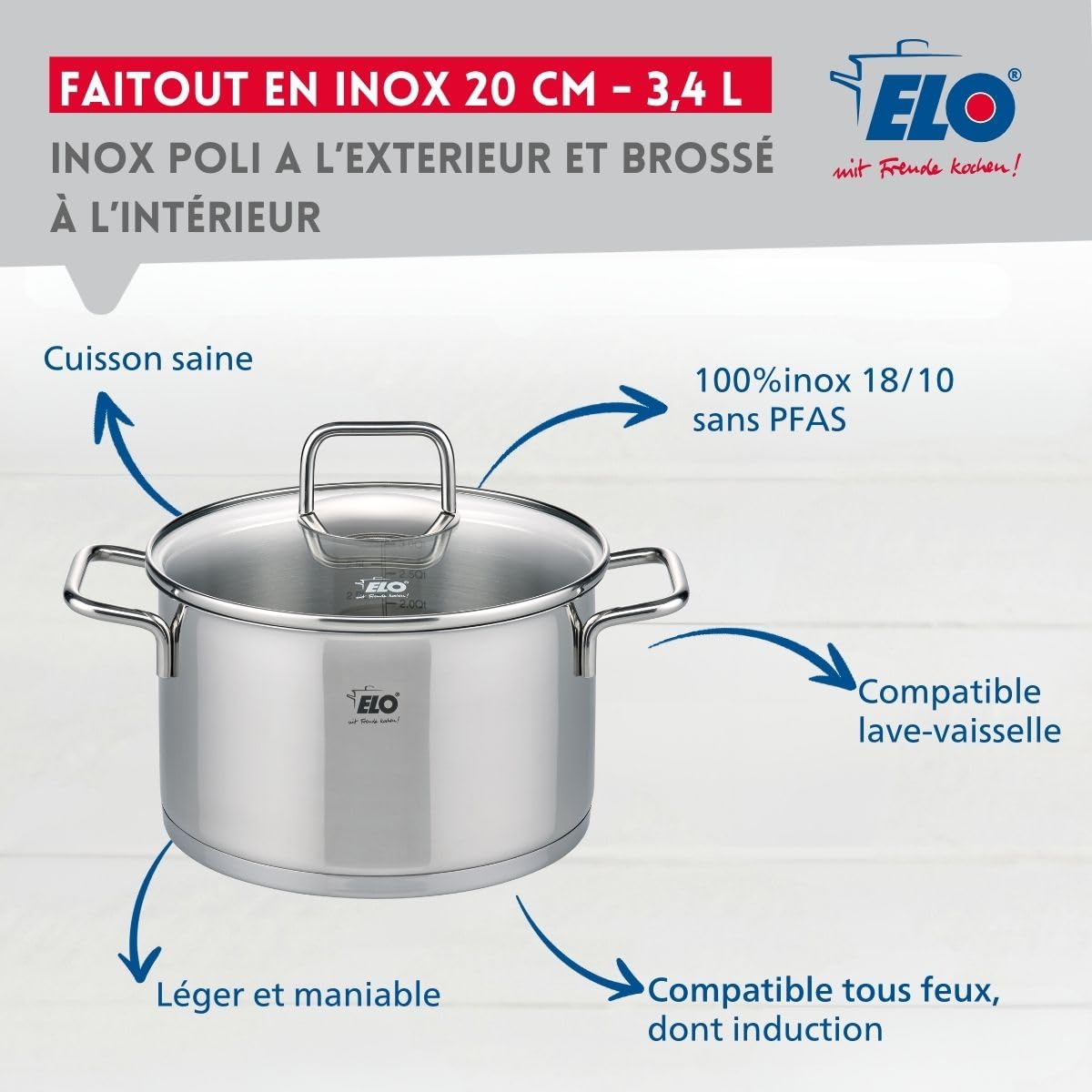 Elo Faitout inox 18/10 20 cm avec couvercle verre induction