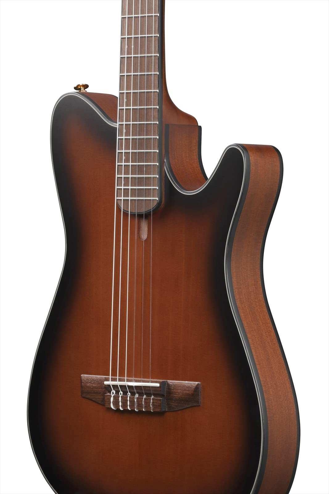Amazon.com: Ibanez FRH10N Thinline Nylon Acoustic-electric Guitar 