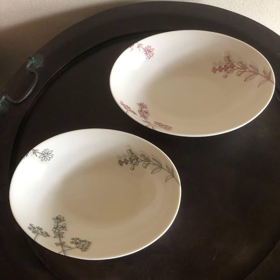 レア品！アラビア ドーム型蓋（おまけでセットのお皿） Amazon.co.jp: たち吉 カレー皿 パスタ皿 2枚セット 色違い