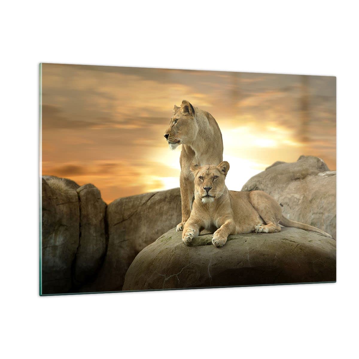 Deco Cadre Décoration Salon Elephant Route Campagne Moderne Impression sur Toile 120x80cm Image Tableau Decoration Murale Chambre Horizontal Art Wall Grand Tableaux Decoratifs Muraux AA120x80-0214 : ARTTOR