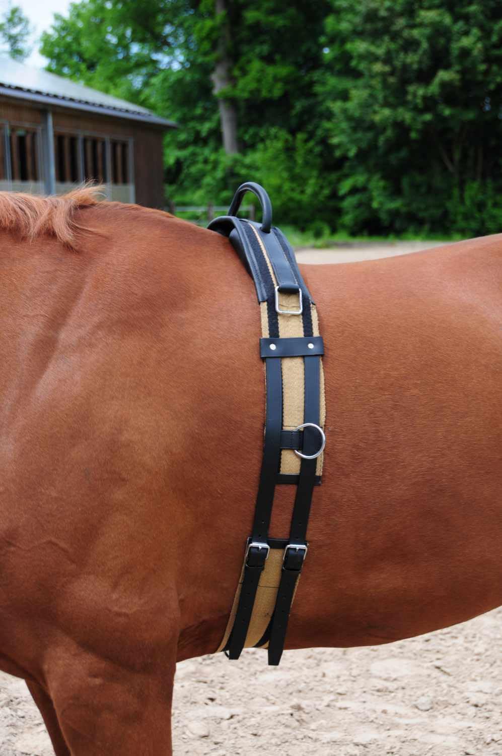 AMKA Longiergurt Reitgurt Soft Riding Gurt, Haltegriff auch für Holzpferde geeignet