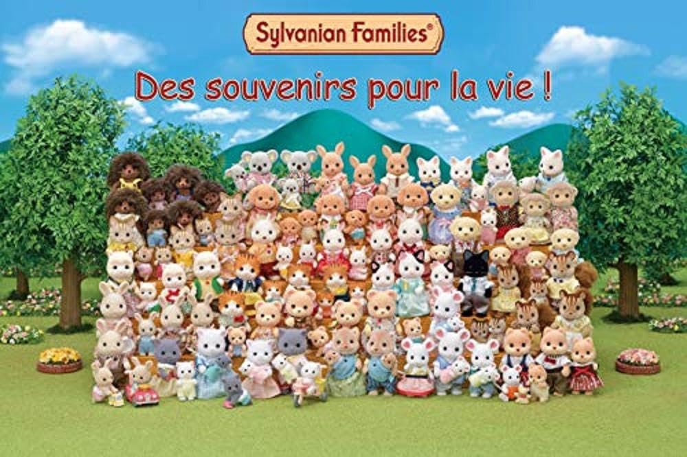 Sylvanian Families 5015 Chocolate Brother with Bathroom Figure with Accessories, Multicolor, 15 cm - Image 4