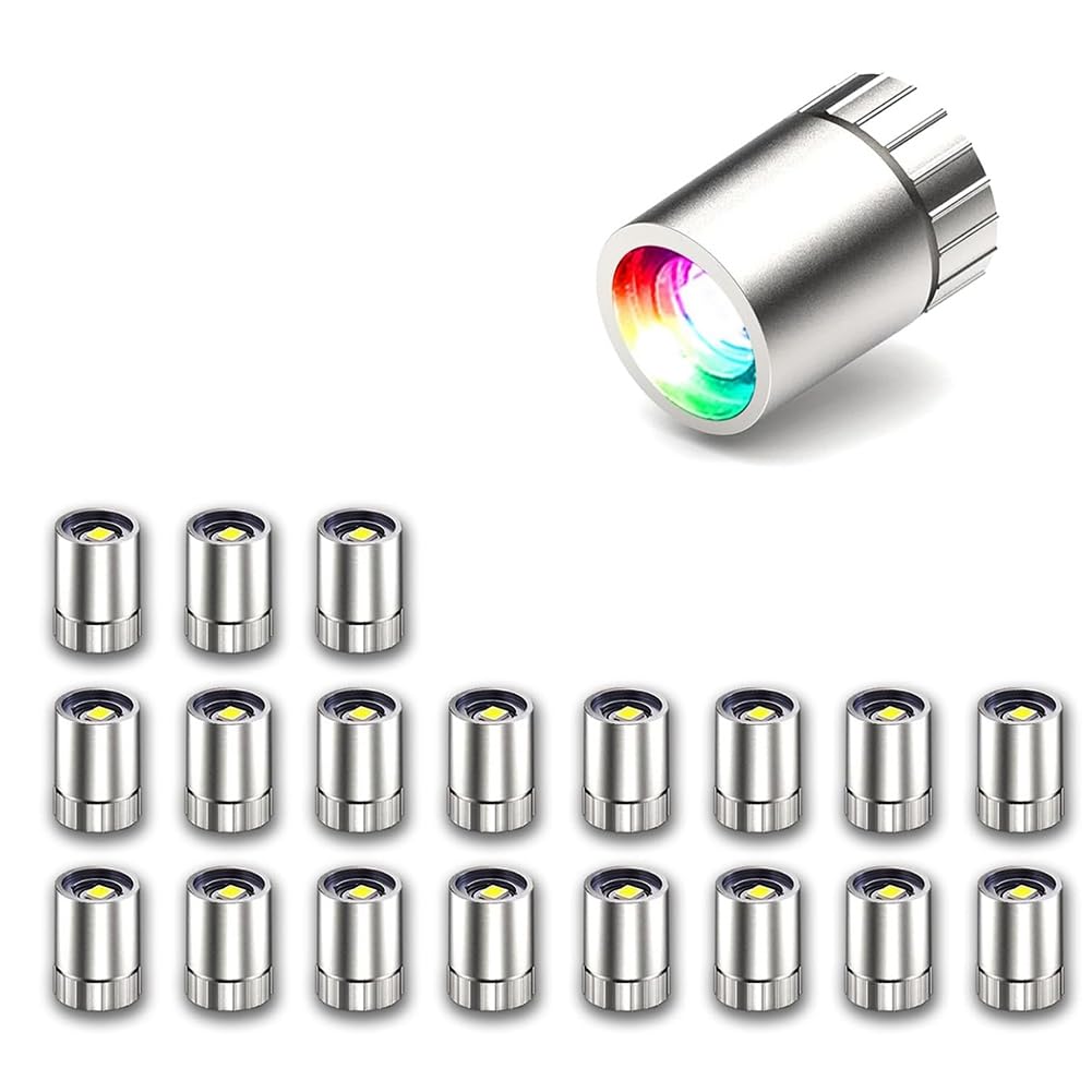 Goser Silver 20 Pcs Miniature Led Lights,Tiny Lights For Hand Craft,Miniature Lights Battery Powered, Lights (Multi-Color Changing)