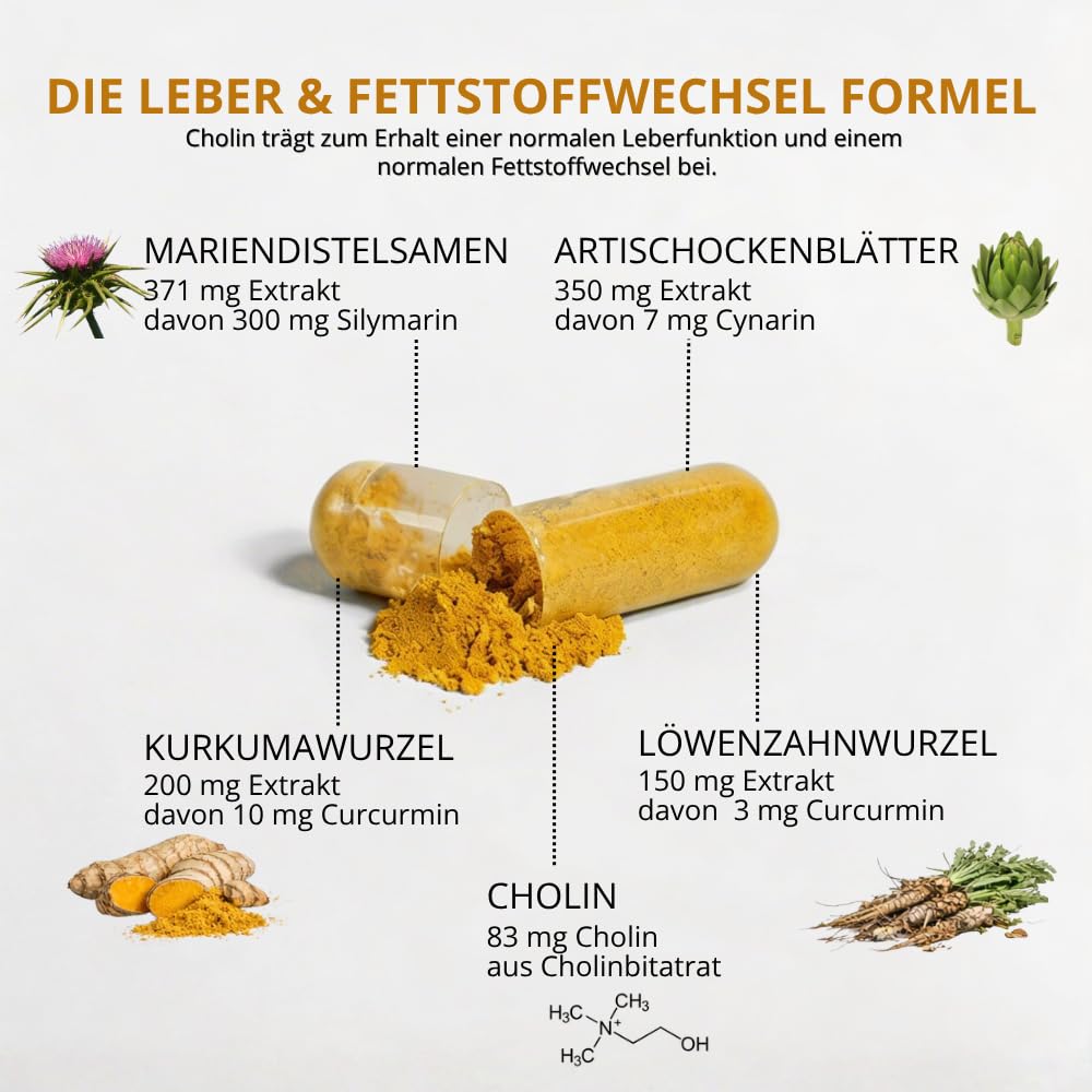 Leber Plus hochdosiert - 80% Silymarin, Mariendistel Kapseln mit Artischocke, Löwenzahn, Curcuma & Cholin - 120 Kapseln - Vegan - Milk thistle - Made in Germany