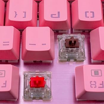 Amazon.com: Granvela Cherry MX RGB Brown Key Switches (20 Pack