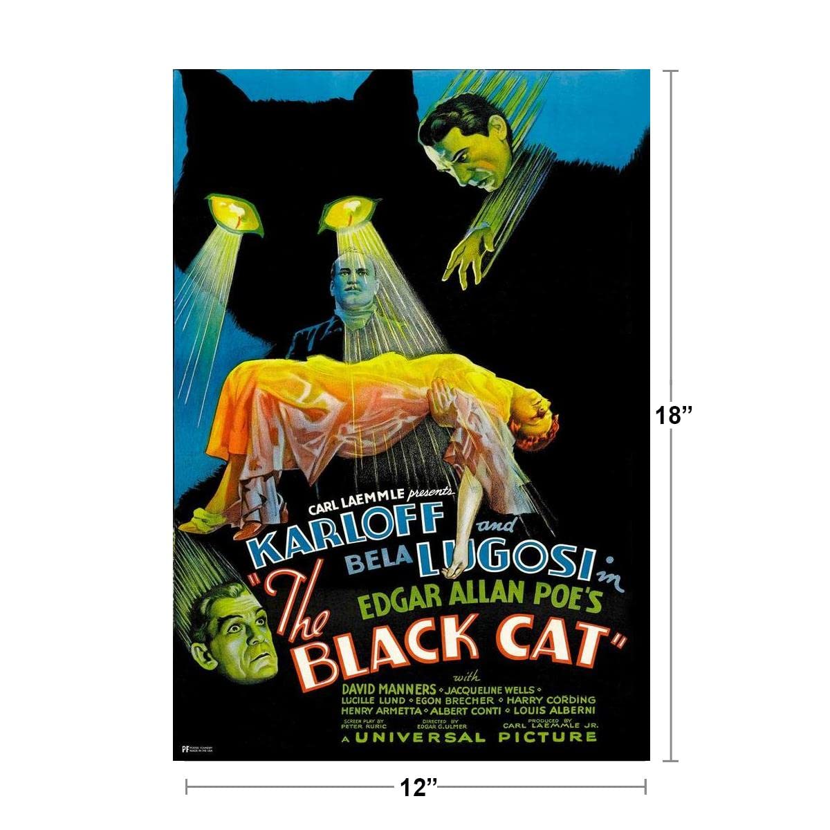 Amazon.com: The Black Cat Vintage Horror Movie Posters Boris