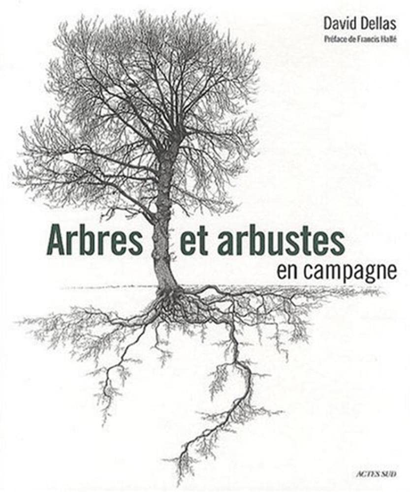 Arbres et arbustes en campagne 1ERE ED by Dellas, David, Alain