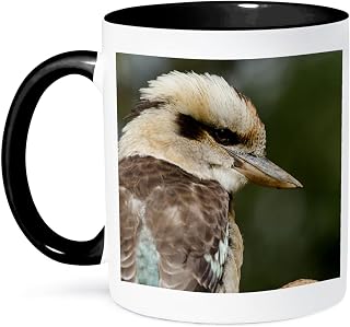 3dRose Australia, Dandenong Ranges. Dandenong NP. Laughing Kookaburra. 11oz Two-Tone Black Mug