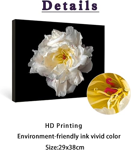 Decoración de pared de baño con plantas florales HD diseño minimalista de plantas florales arte de pared de flores modernas para decoración de hogar