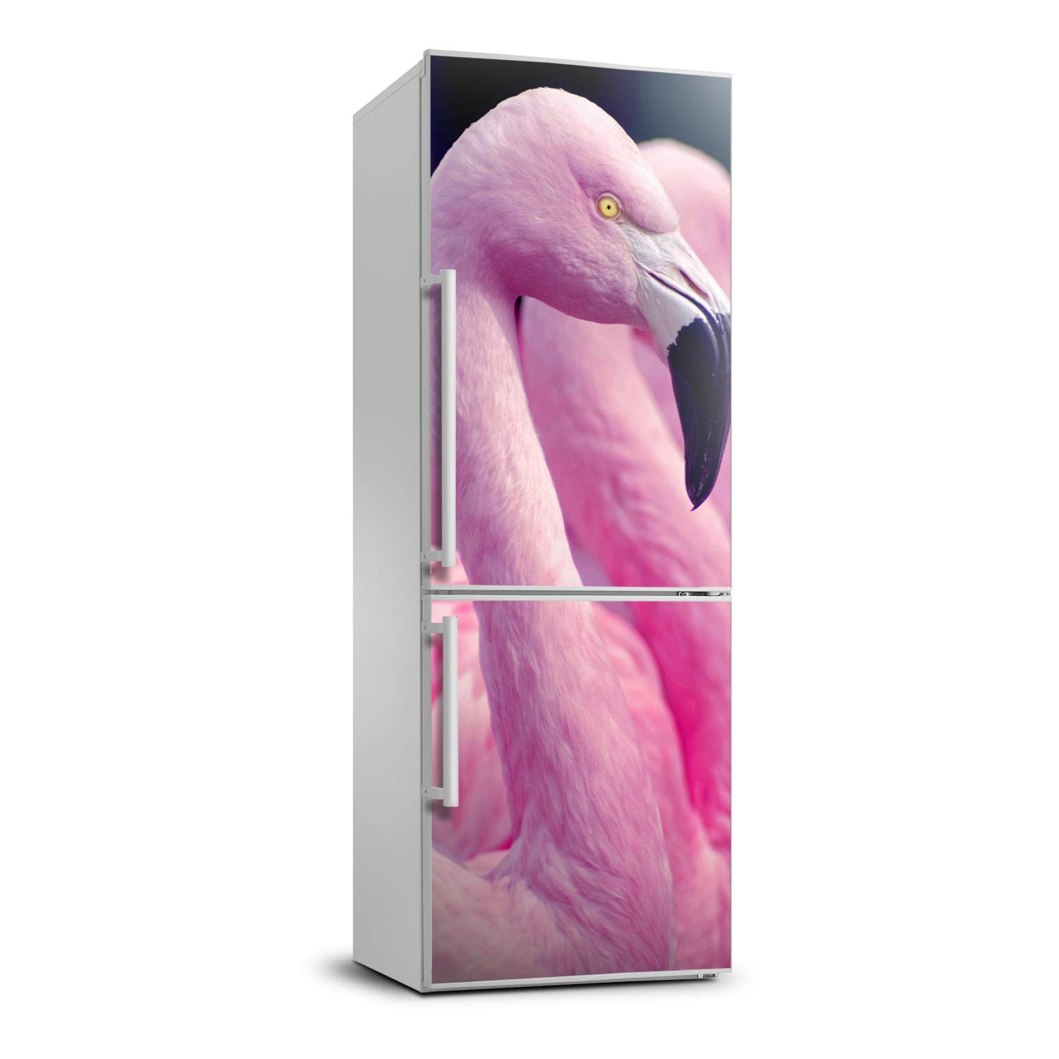 Autocollant frigo au style tropical avec flamingos pour cuisine moderne