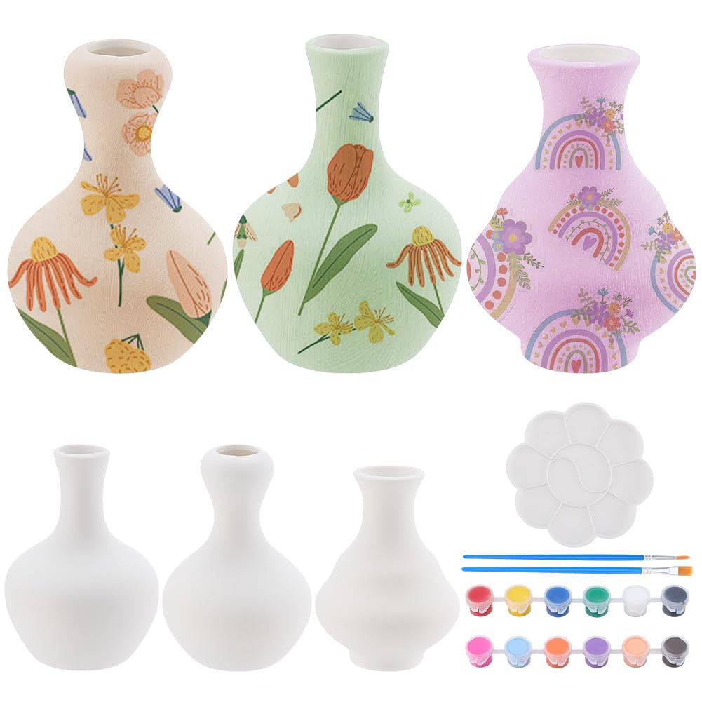 WEBEEDY 3 Juego de pintura de cerámica para jarrón de cerámica para principiantes adultos pinta tus propios jarrones de porcelana para decoración del hogar, regalo de cumpleaños