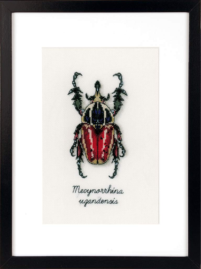 Vervaco Red Beetle, Polyester Cotton, Multi-Colour, 40 x 2 x 20 cm